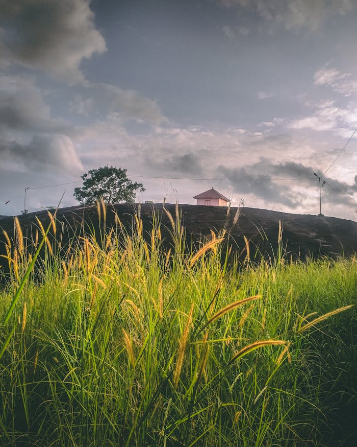 Photo of Pink House on Mountain